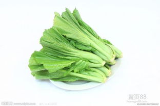厦门新鲜蔬菜配送 让健康与便捷相伴每一天