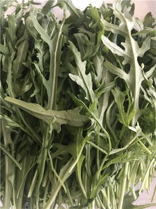 苏州园区西餐配菜新风尚 禾子生态食品，新鲜与品质的双重臻选